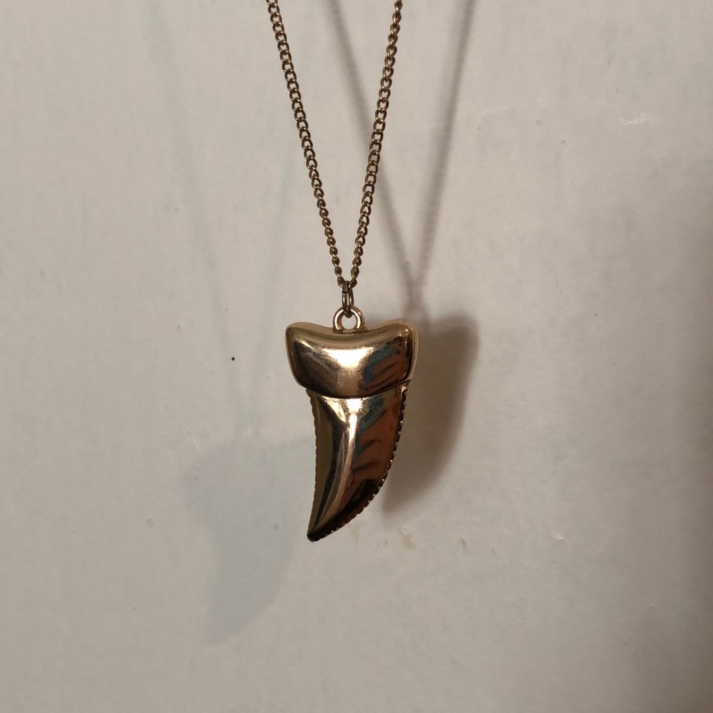 30in Shark Tooth Necklace